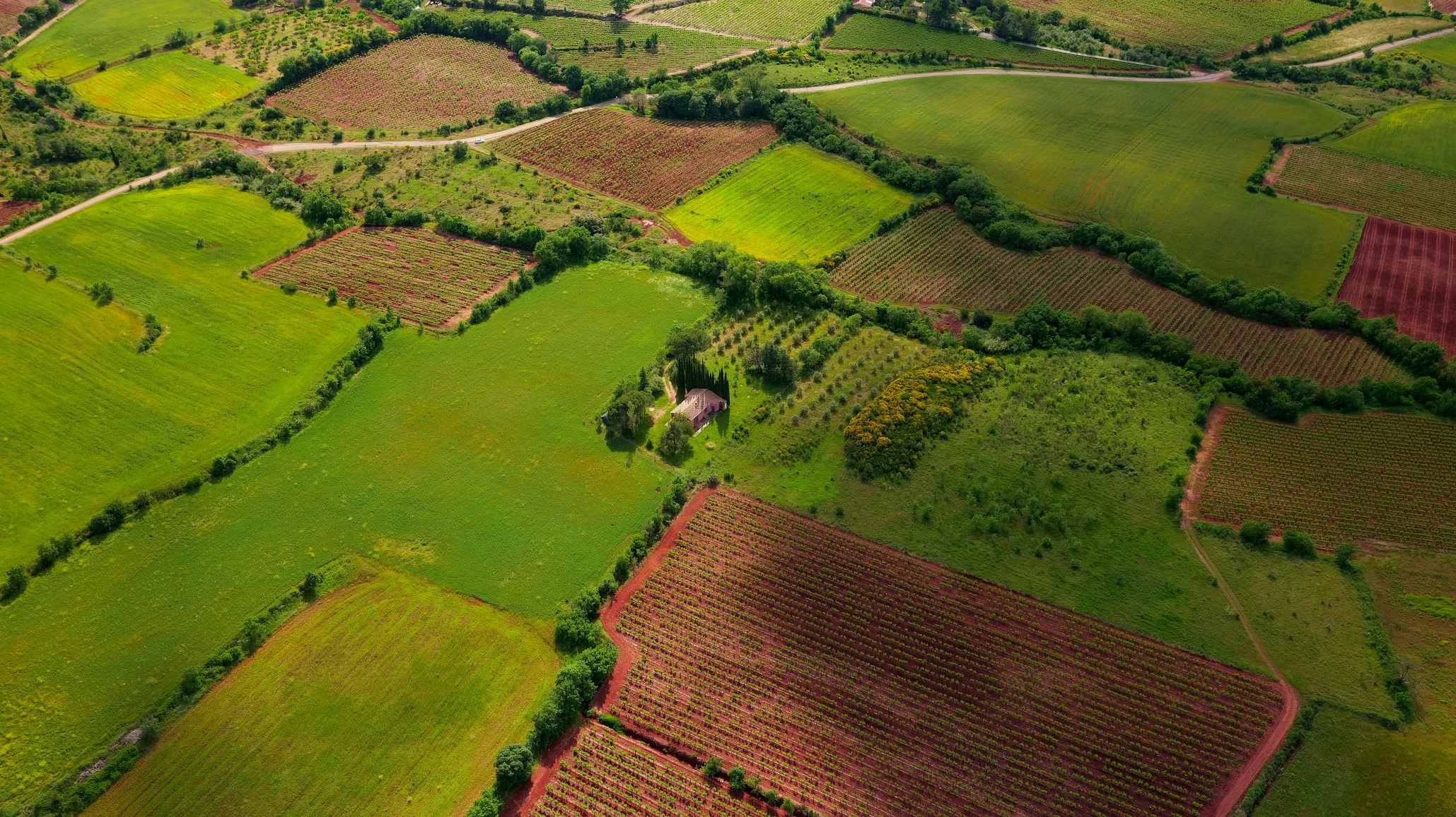 Projects-Placeholder (8)