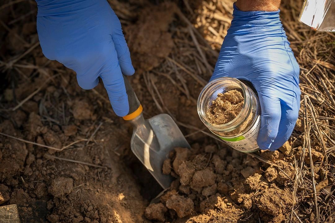 Site-Investigation